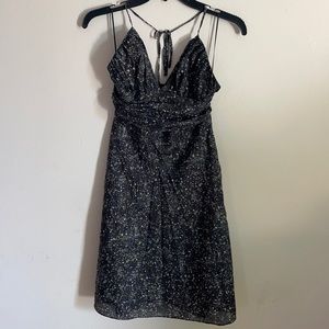 Express Silk Dress 2